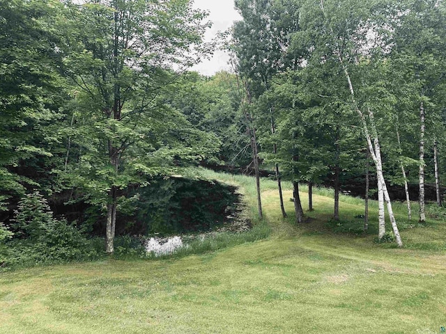 58875 Roy Anderson Rd, Mason, WI 54856 - view of green lawn featuring a wooded view