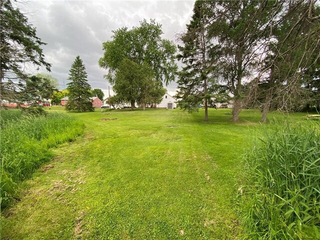 1114 Newman St, Bloomer, WI 54724 - view of green lawn