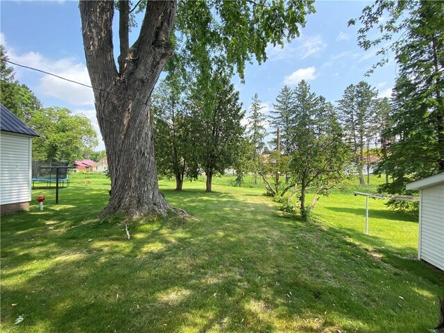1114 Newman St, Bloomer, WI 54724 - view of grassy yard with a trampoline