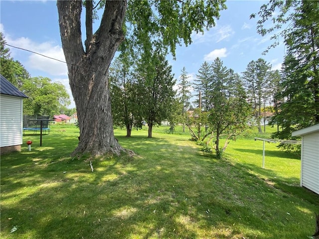 1114 Newman St, Bloomer, WI 54724 - view of grassy yard with a trampoline