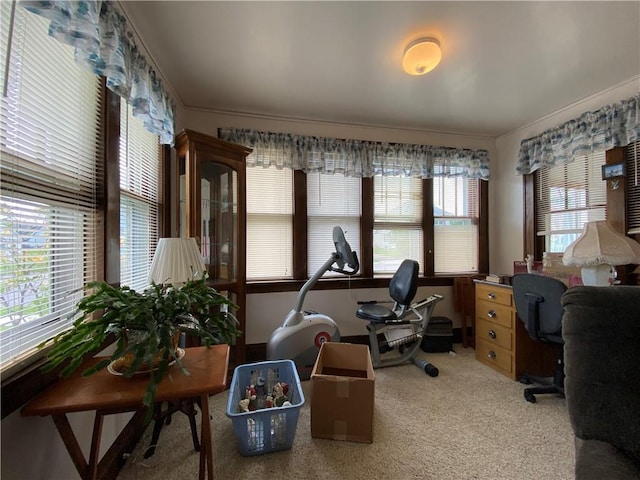 1114 Newman St, Bloomer, WI 54724 - home office with ornamental molding and carpet
