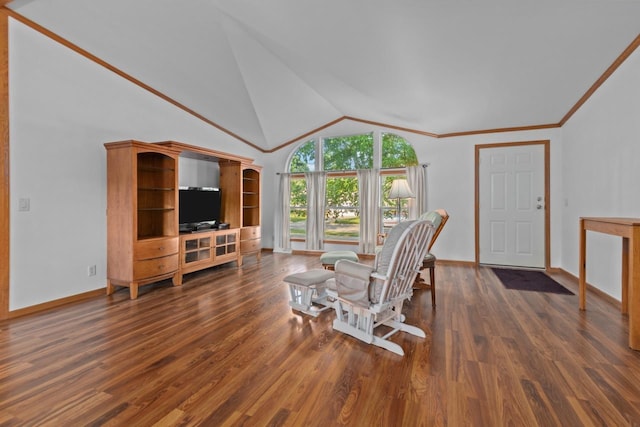 227 Cedar St, Ripon, WI 54971 - living area with high vaulted ceiling, dark wood-type flooring, and baseboards