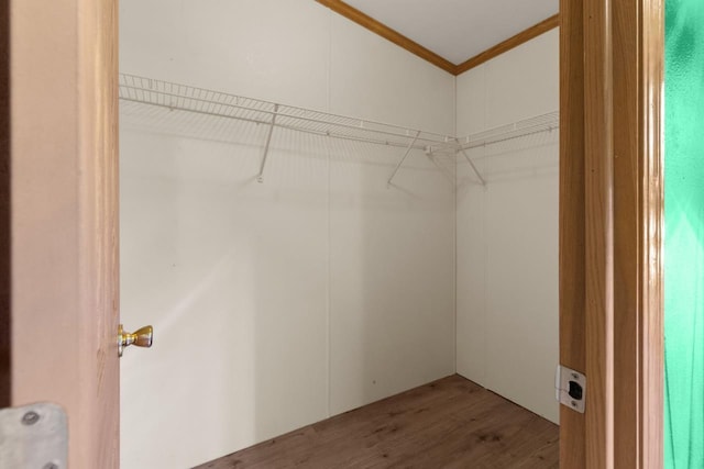 227 Cedar St, Ripon, WI 54971 - walk in closet featuring wood finished floors