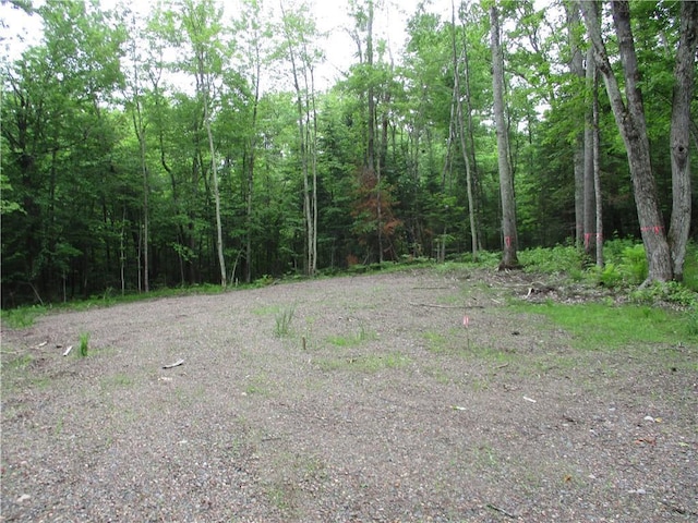 2975 28 1/2 St, Birchwood, WI 54817