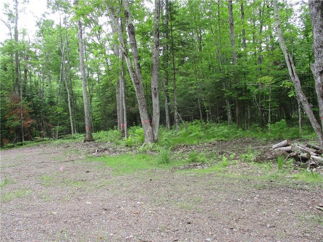 2975 28 1/2 St, Birchwood, WI 54817