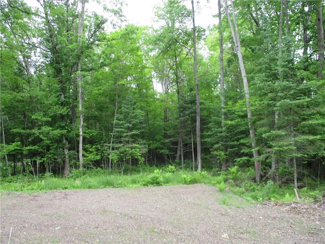 2975 28 1/2 St, Birchwood, WI 54817