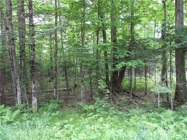 2975 28 1/2 St, Birchwood, WI 54817