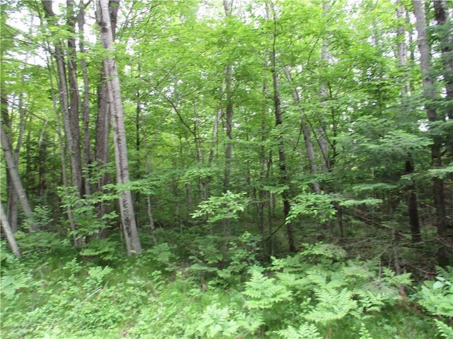 2975 28 1/2 St, Birchwood, WI 54817
