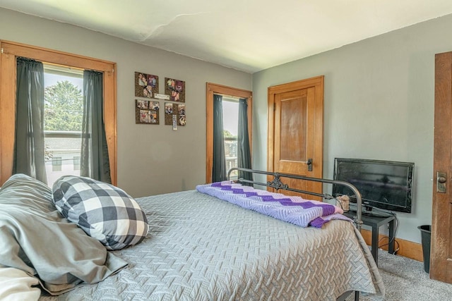 1600 15th Ave, Monroe, WI 53566 - bedroom featuring multiple windows and carpet flooring