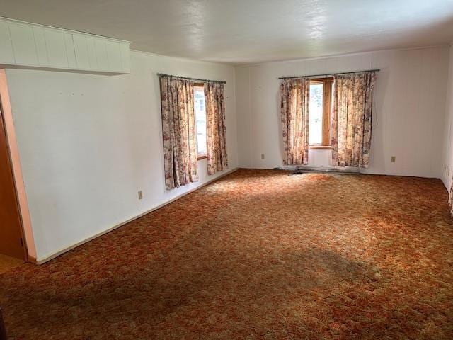 420 Jackson St, Waupun, WI 53963 - carpeted spare room with plenty of natural light
