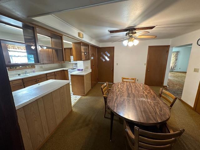 420 Jackson St, Waupun, WI 53963 - dining space featuring carpet floors and a ceiling fan