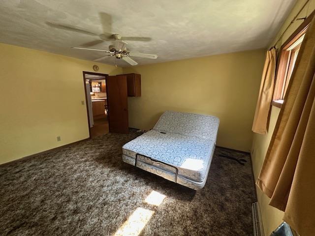 420 Jackson St, Waupun, WI 53963 - carpeted bedroom featuring ceiling fan and a baseboard heating unit