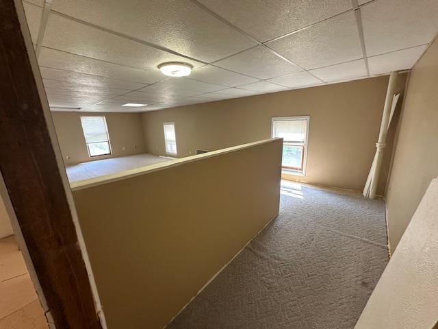 420 Jackson St, Waupun, WI 53963 - corridor featuring carpet, a drop ceiling, and an upstairs landing