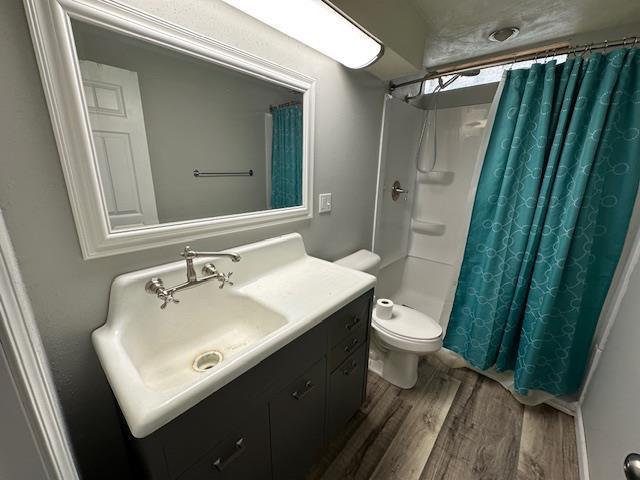 420 Jackson St, Waupun, WI 53963 - bathroom featuring wood finished floors, vanity, toilet, and a shower with curtain
