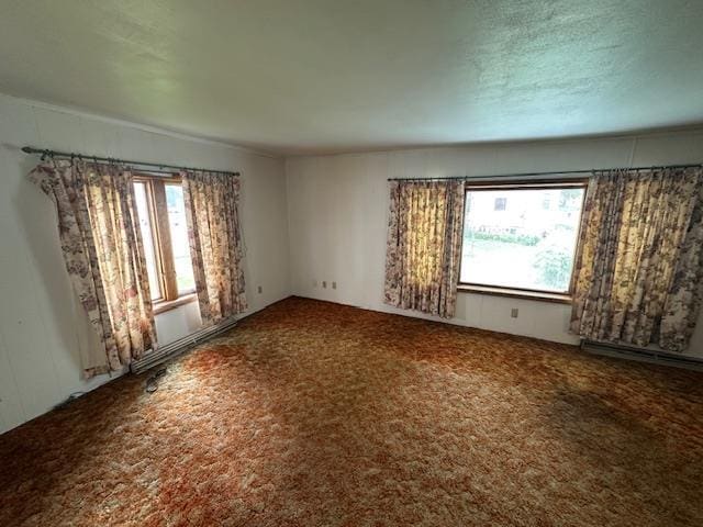 420 Jackson St, Waupun, WI 53963 - carpeted empty room with plenty of natural light