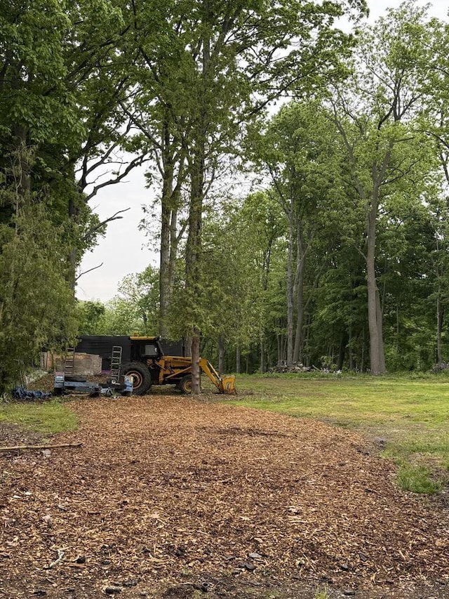 4726 N Green Bay Rd, Racine, WI 53404 - view of yard