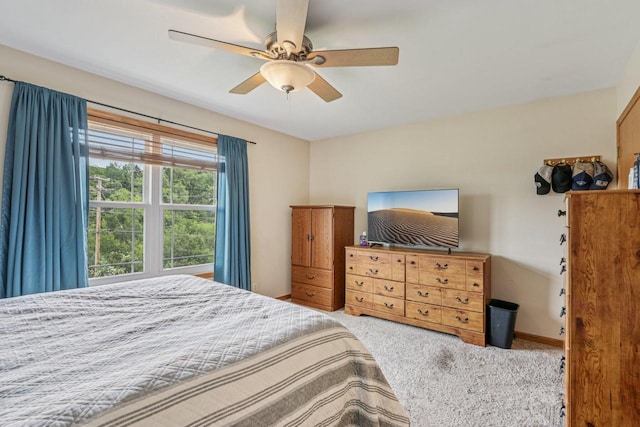 34116 Valley Dr, Burlington, WI 53105 - bedroom featuring carpet flooring and a ceiling fan