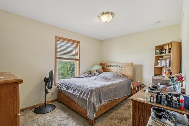 34116 Valley Dr, Burlington, WI 53105 - bedroom with carpet flooring and baseboards