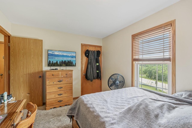 34116 Valley Dr, Burlington, WI 53105 - carpeted bedroom with a closet
