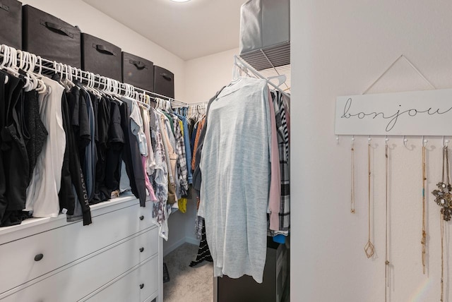 6028 Star Grass Ln, Racine, WI 53406 - spacious closet featuring carpet flooring