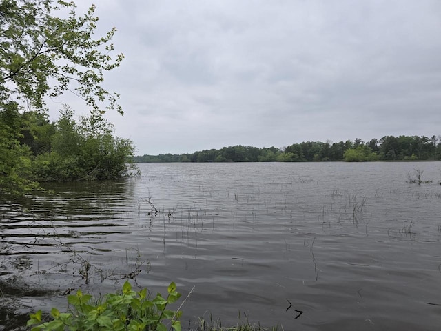 W5741 Waterstone Ln, New Lisbon, WI 53950