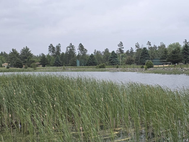 W5741 Waterstone Ln, New Lisbon, WI 53950