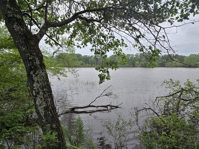 W5834 Waterstone Ln, New Lisbon, WI 53950