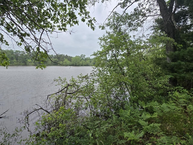 W5834 Waterstone Ln, New Lisbon, WI 53950
