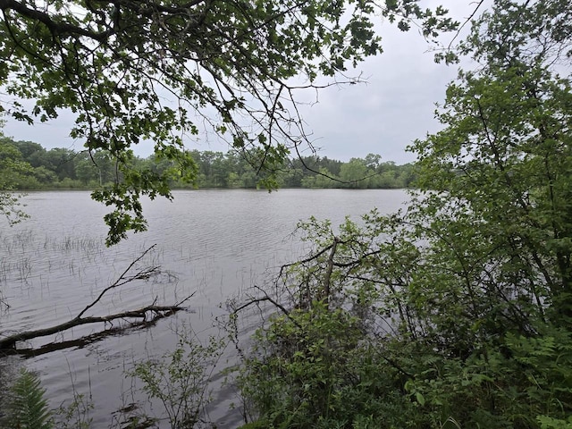 W5834 Waterstone Ln, New Lisbon, WI 53950