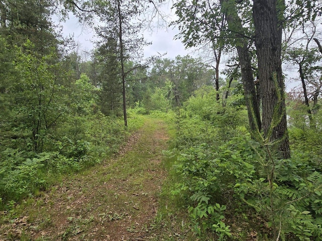 W5834 Waterstone Ln, New Lisbon, WI 53950