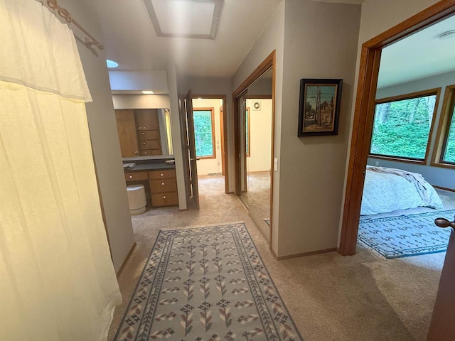 5362 Mahocker Rd, Mazomanie, WI 53560 - hallway featuring light colored carpet and plenty of natural light