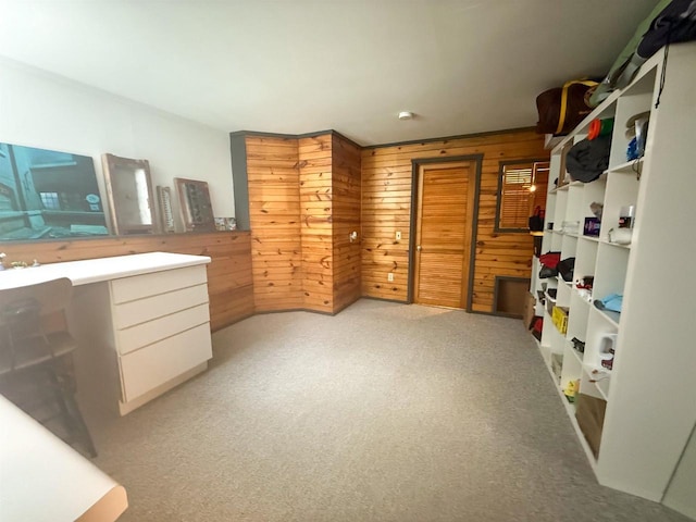 5362 Mahocker Rd, Mazomanie, WI 53560 - unfurnished bedroom with wood walls and light colored carpet
