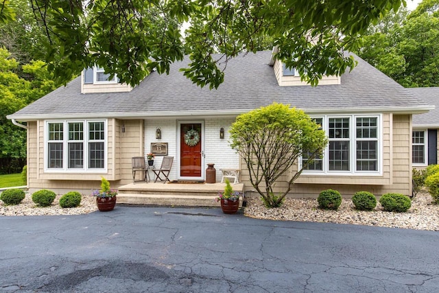 11 Meadowbrook Ct, Appleton, WI 54914 - cape cod-style house with roof with shingles