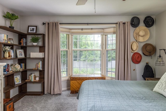 11 Meadowbrook Ct, Appleton, WI 54914 - carpeted bedroom featuring ceiling fan
