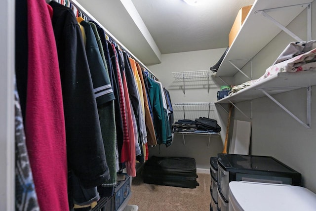 N1128 County Rd W, Fremont, WI 54940 - spacious closet featuring carpet floors
