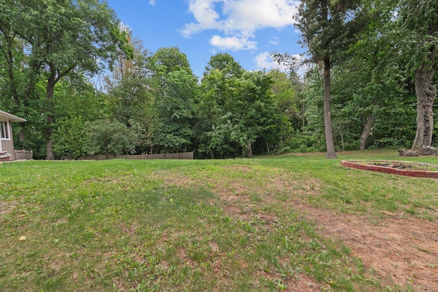 N1128 County Rd W, Fremont, WI 54940 - view of grassy yard