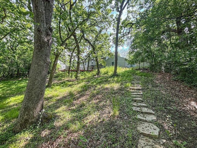 417 Anglesey Rd, Wales, WI 53183 - view of yard
