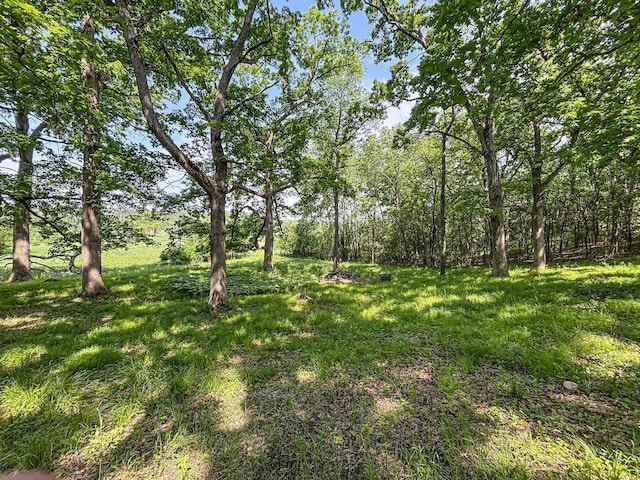417 Anglesey Rd, Wales, WI 53183 - view of yard