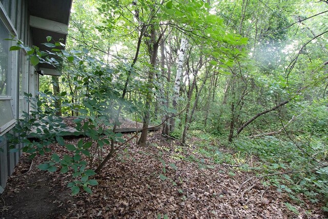 6202 Piping Rock Rd, Madison, WI 53711 - view of wooded area
