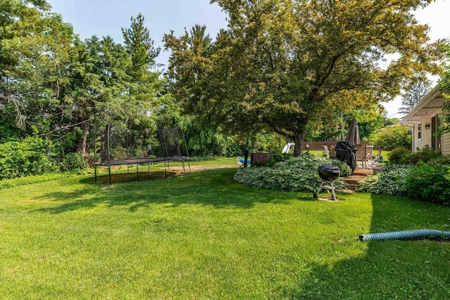 3472 Hickory Hill Rd, Verona, WI 53593 - view of grassy yard with a trampoline