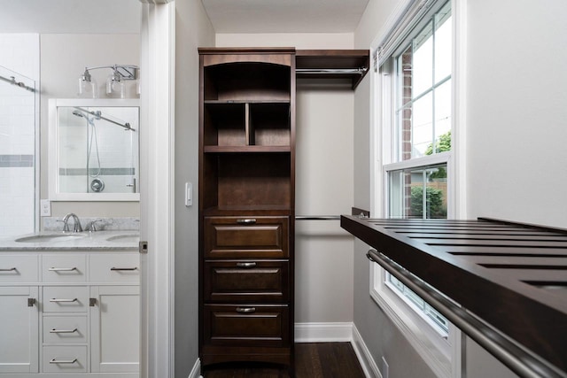 2461 N 94th St, Wauwatosa, WI 53226 - walk in closet with a sink and dark wood-style flooring