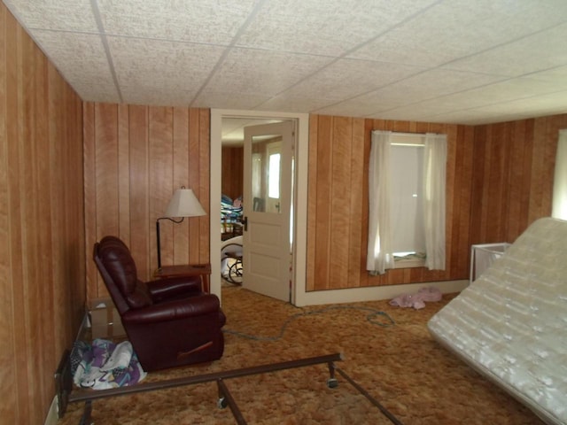 212 E Bowen St, Brandon, WI 53919 - sitting room featuring wood walls