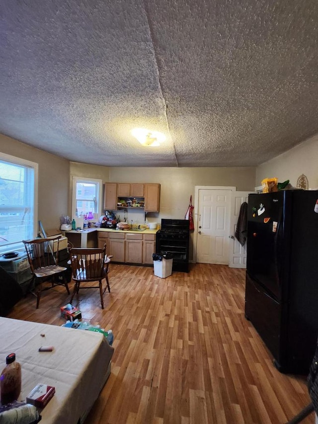 1535 W Lincoln Ave, Milwaukee, WI 53215 - dining room featuring light wood-style flooring and a textured ceiling