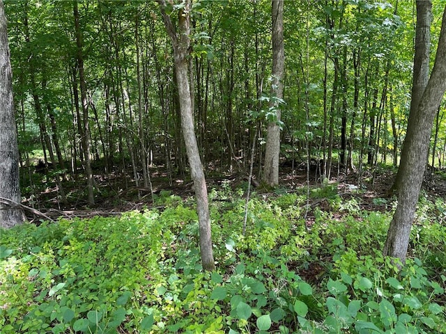LOT6 186th Ave, Balsam Lake, WI 54810