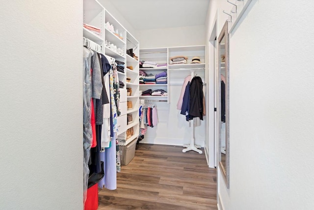 1386 Overlook Cir, Hartland, WI 53029 - walk in closet with wood finished floors