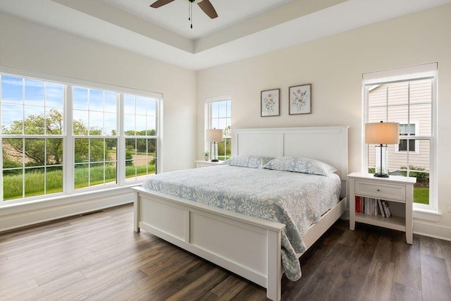 1386 Overlook Cir, Hartland, WI 53029 - bedroom featuring dark wood-style flooring, ceiling fan, and a raised ceiling