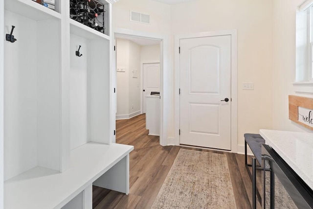 1386 Overlook Cir, Hartland, WI 53029 - mudroom featuring dark wood finished floors