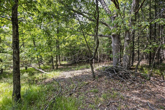 Oak Ct, Tigerton, WI 54950