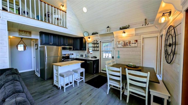 W6741 Lakewood Blvd, Ladysmith, WI 54848 - kitchen featuring high vaulted ceiling, appliances with stainless steel finishes, wood counters, wood ceiling, and dark wood-style flooring