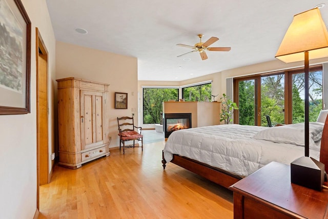 1225 W Cedar St, Appleton, WI 54914 - bedroom with multiple windows, light wood finished floors, and a glass covered fireplace